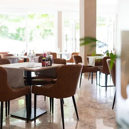 Hotel Conca D'oro ***s Garda (Verona)